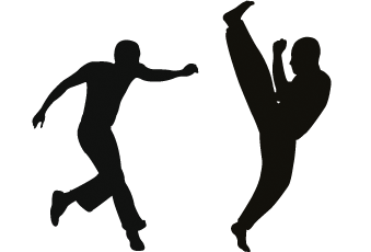 Cours Capoeira Paris